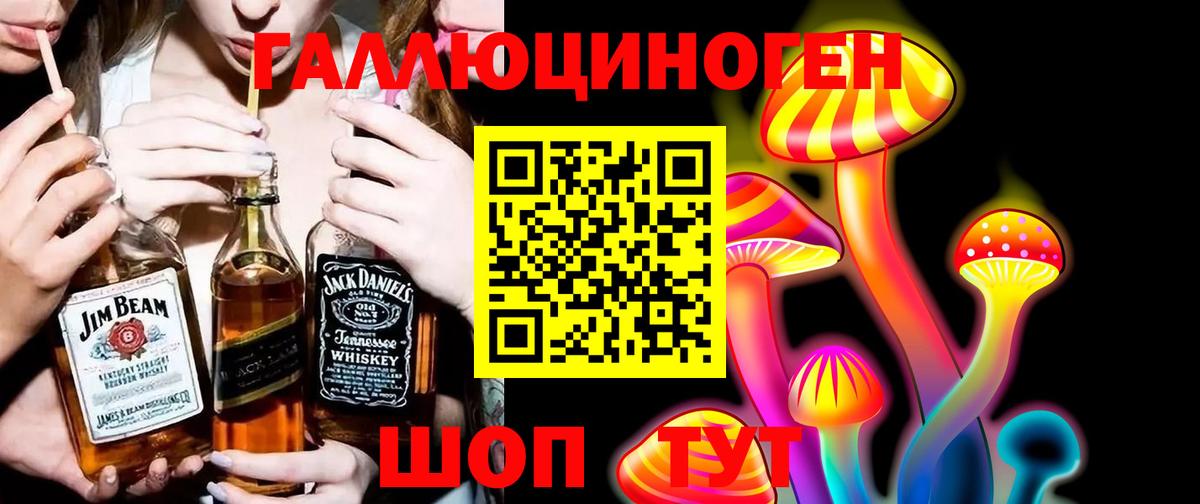 Псилоцибиновые грибы Psilocybe Ивантеевка